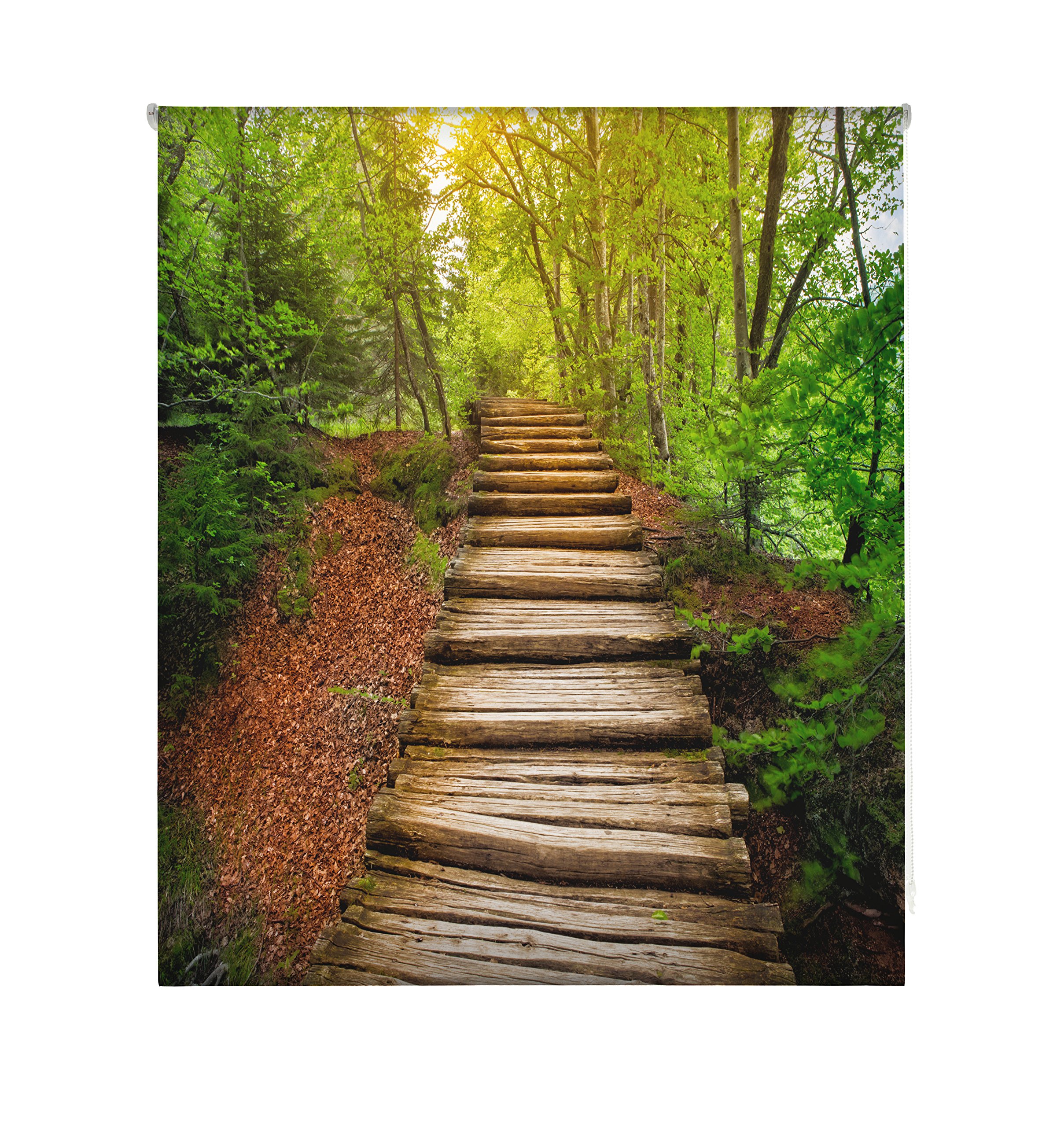 blindecor w-p-56224 – Roller Translucido Digital Print, 110 x 180 cm