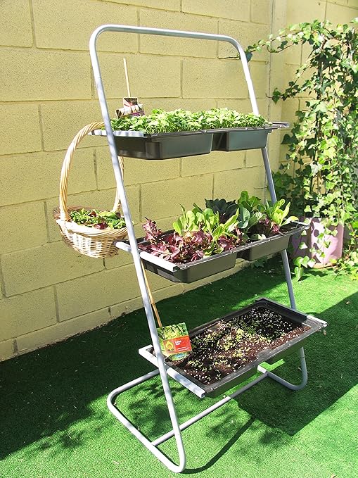 Estantería para macetas, stand para plantas 65x31x136 cm: Amazon ...