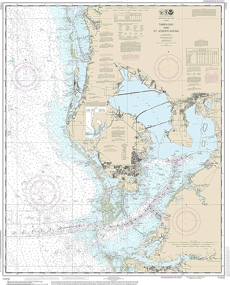 Amazon Com Nautical Map Poster Tampa Bay And St Joseph Sound