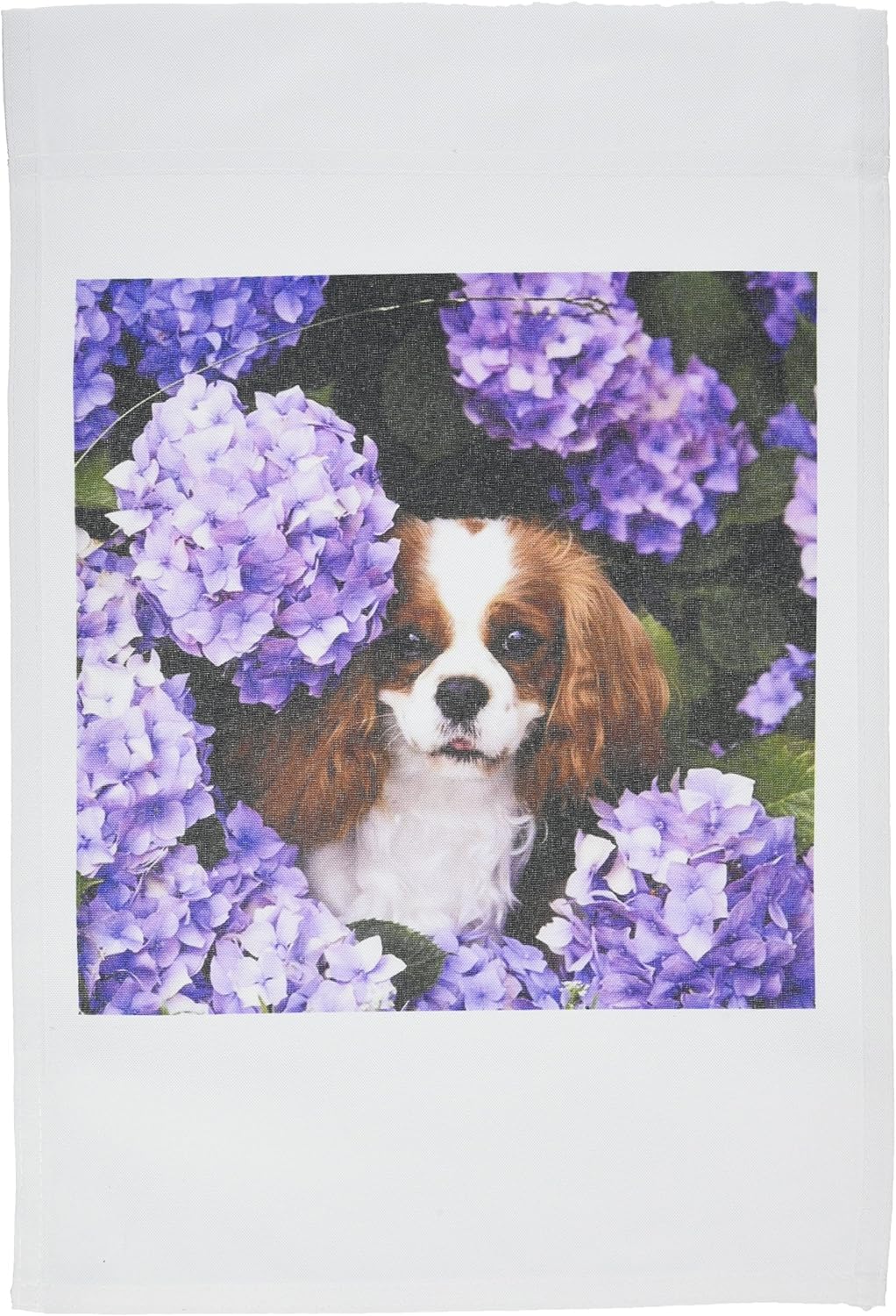 3dRose fl_61913_1 Cavalier King Charles Spaniel Garden Flag, 12 by 18-Inch