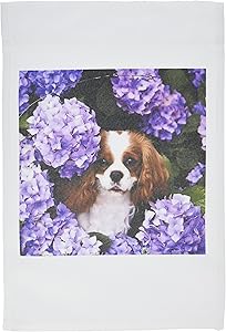 3dRose fl_61913_1 Cavalier King Charles Spaniel Garden Flag, 12 by 18-Inch