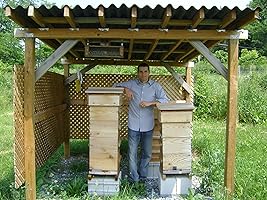 An image posted by the author.