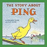The Story about Ping