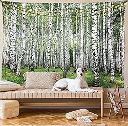 Lunarable Landscape Tapestry, Autumn Trees in Birch
