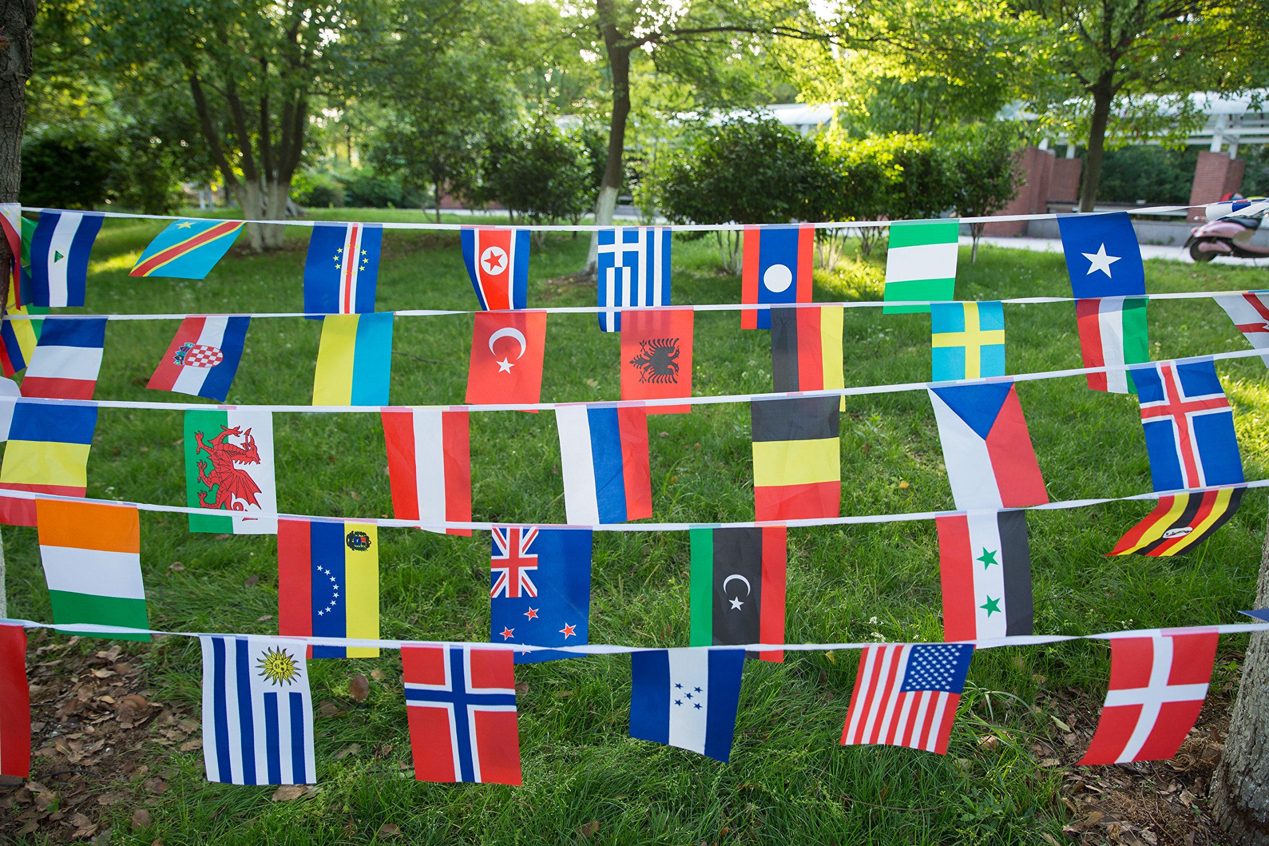 International String Flags Banners,100 Countries Flags World Flags