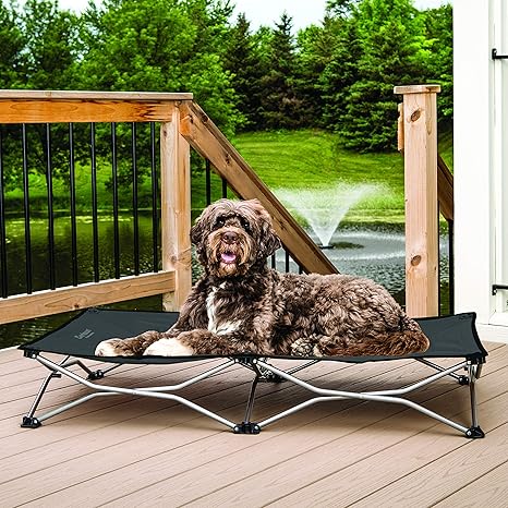 foldable elevated dog bed