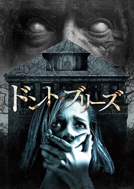 ドント ブリーズ ネタバレ 金銭的被害を隠した理由を考察 女を引きずるシーンはなぜ冒頭に 妹の手を引く結末の意味とは シネマノーツで映画の解釈を ネタバレチェック