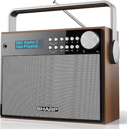 Sharp Dab Radio Numerique Dab Dab Fm Avec Radio Texte Deroulant Rds Alarme Sommeil Et Rappel De Sonnerie Marron Radio Numerique Dab Marron Amazon Fr Tv Video