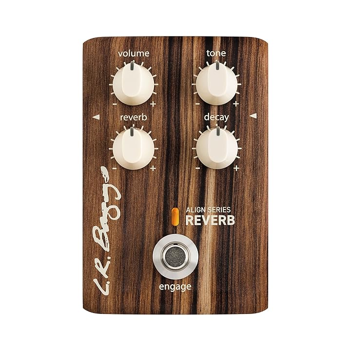 L.R.Baggs Align Series Reverb