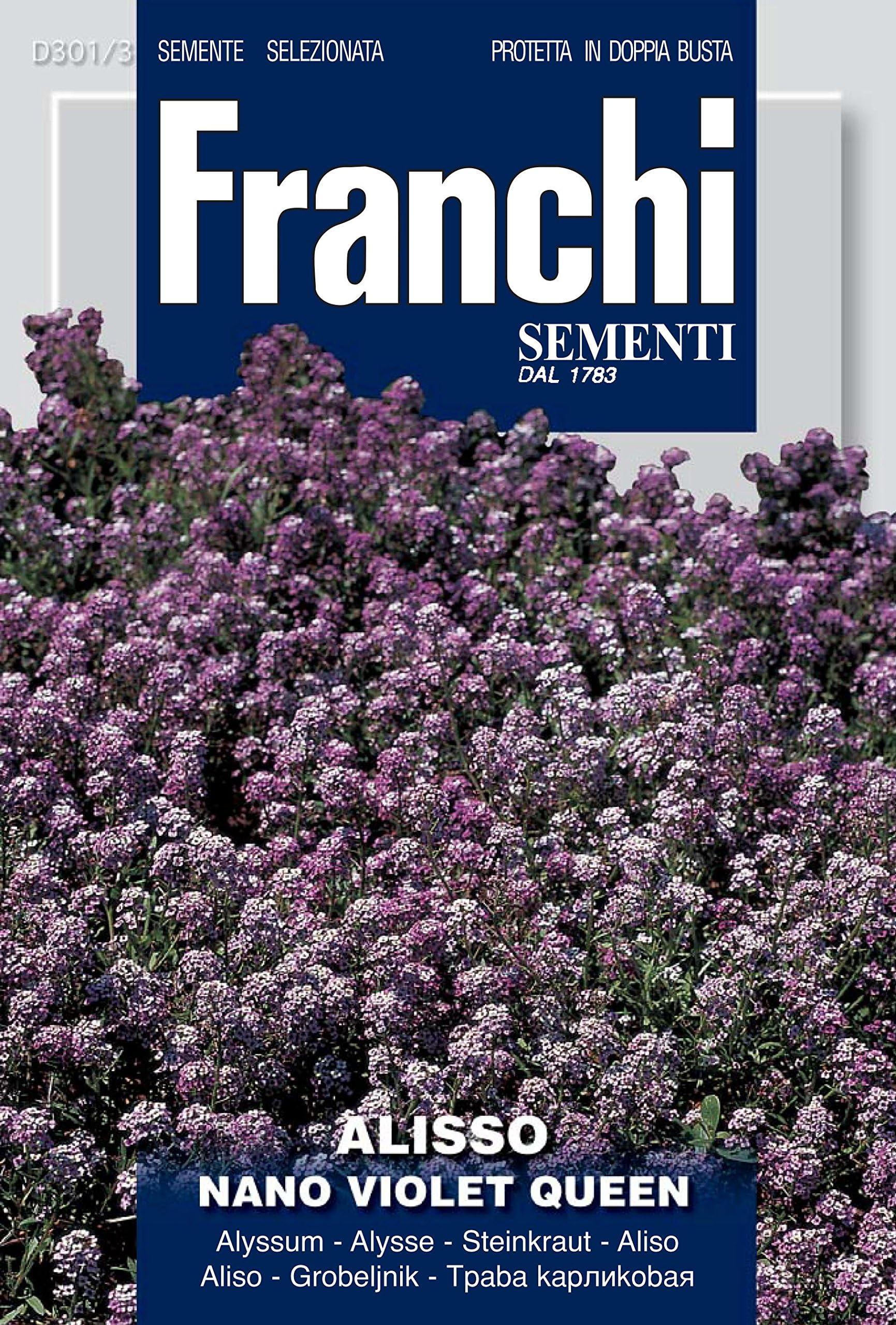 Franchi Seeds of Italy"Violet Queen Alyssum" Seeds