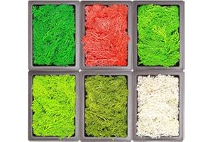 Meekear 10.6 Oz Natural Moss, 6 Colors Each Color 1.8Oz Preserved Reindeer Mosses for Feature Walls, Potted Plants, Aquariums, Mini-Terrarium, Home Crafts DIY Decorations, Non-Live