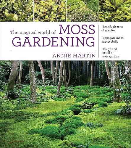 Download The Magical World of Moss Gardening PDF
