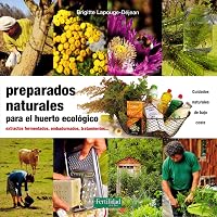 Amazon.es Los más vendidos: Los productos más populares en ...