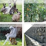 VOUNOT PVC Coated Chicken Wire Mesh Roll 1m x 25m 25mm Green Hexagonal view 4