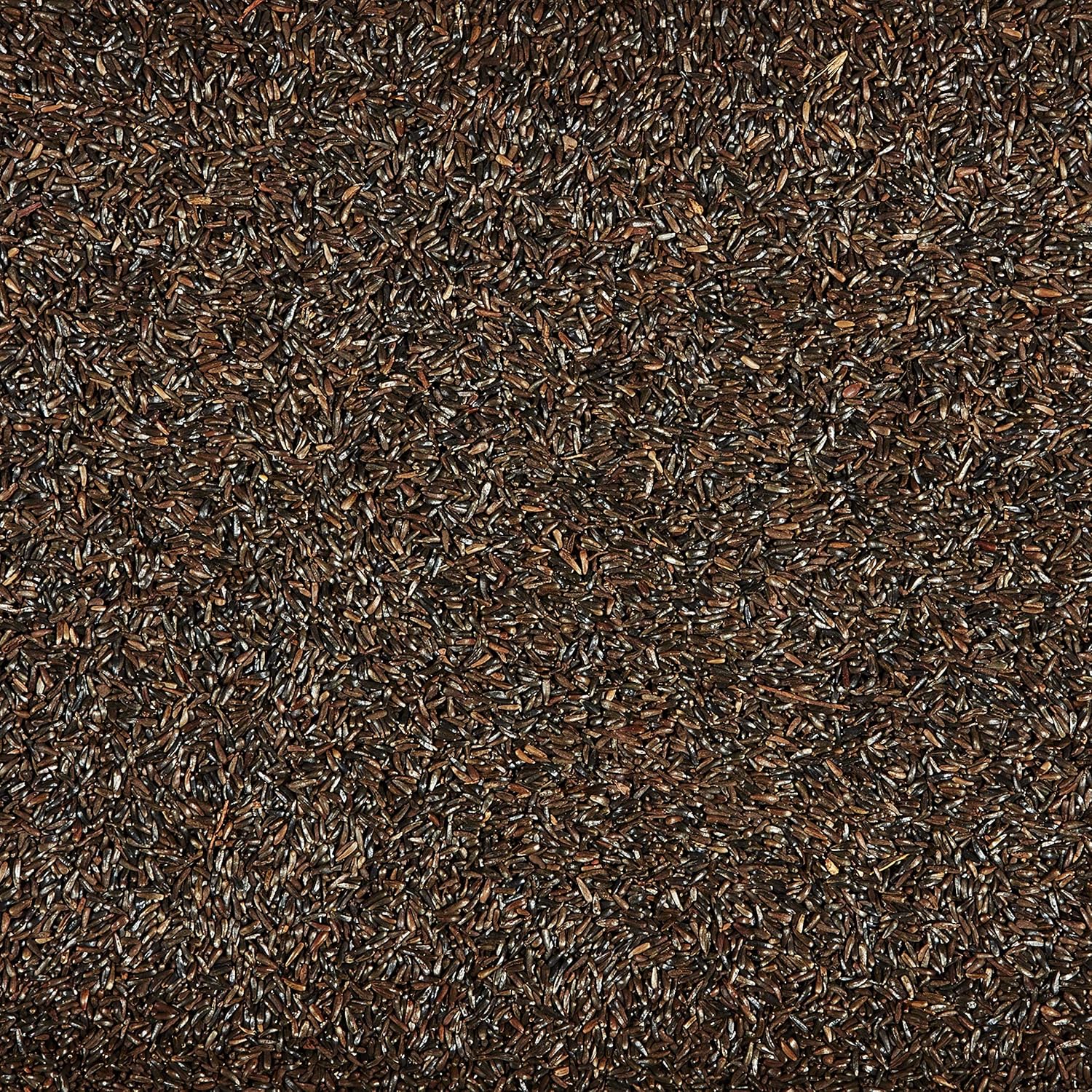 Kaytee Nyjer Thistle Seed, 3 lb: Pet Supplies
