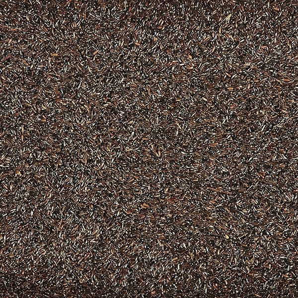 KAYTEE NYJER WILD BIRD FOOD SEED, 5 POUND