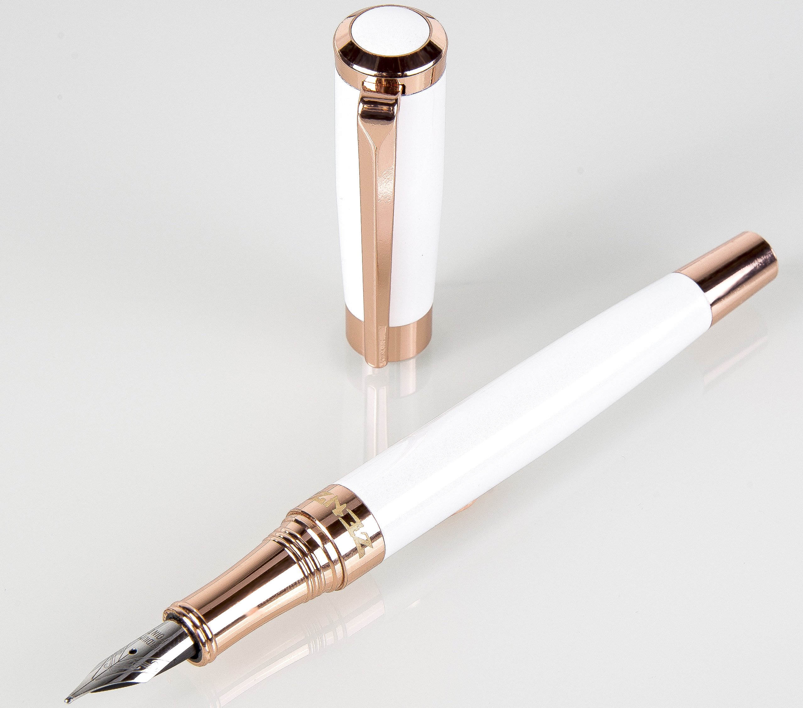 ZenZoi Fountain Pen Premium Executive Calligraphy Stylograph Pens