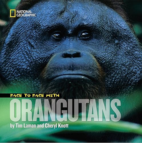 Download Face to Face With Orangutans PDF