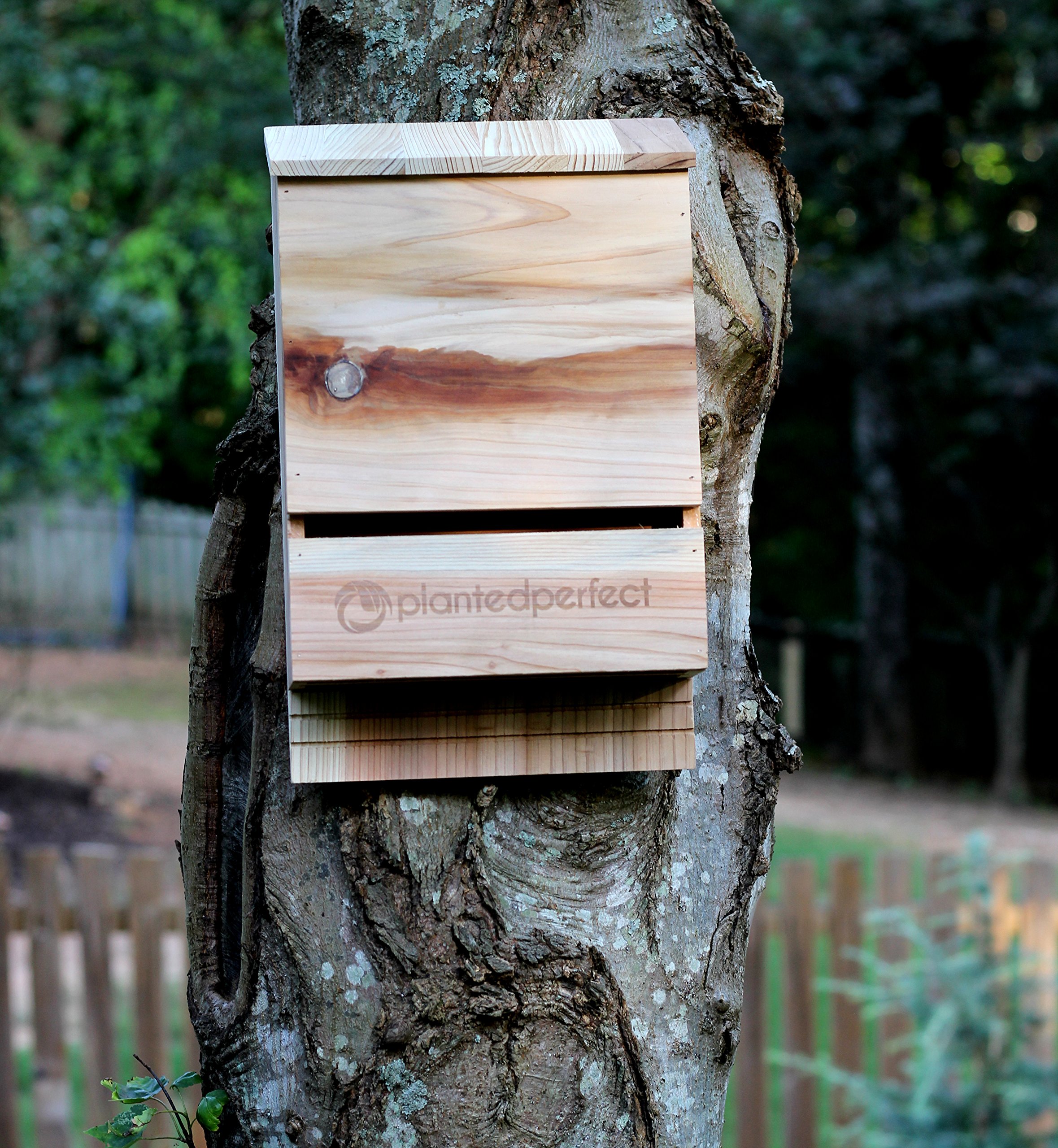 BAT House PEST Control Bats Shelter Protects Home from Mosquitoes and