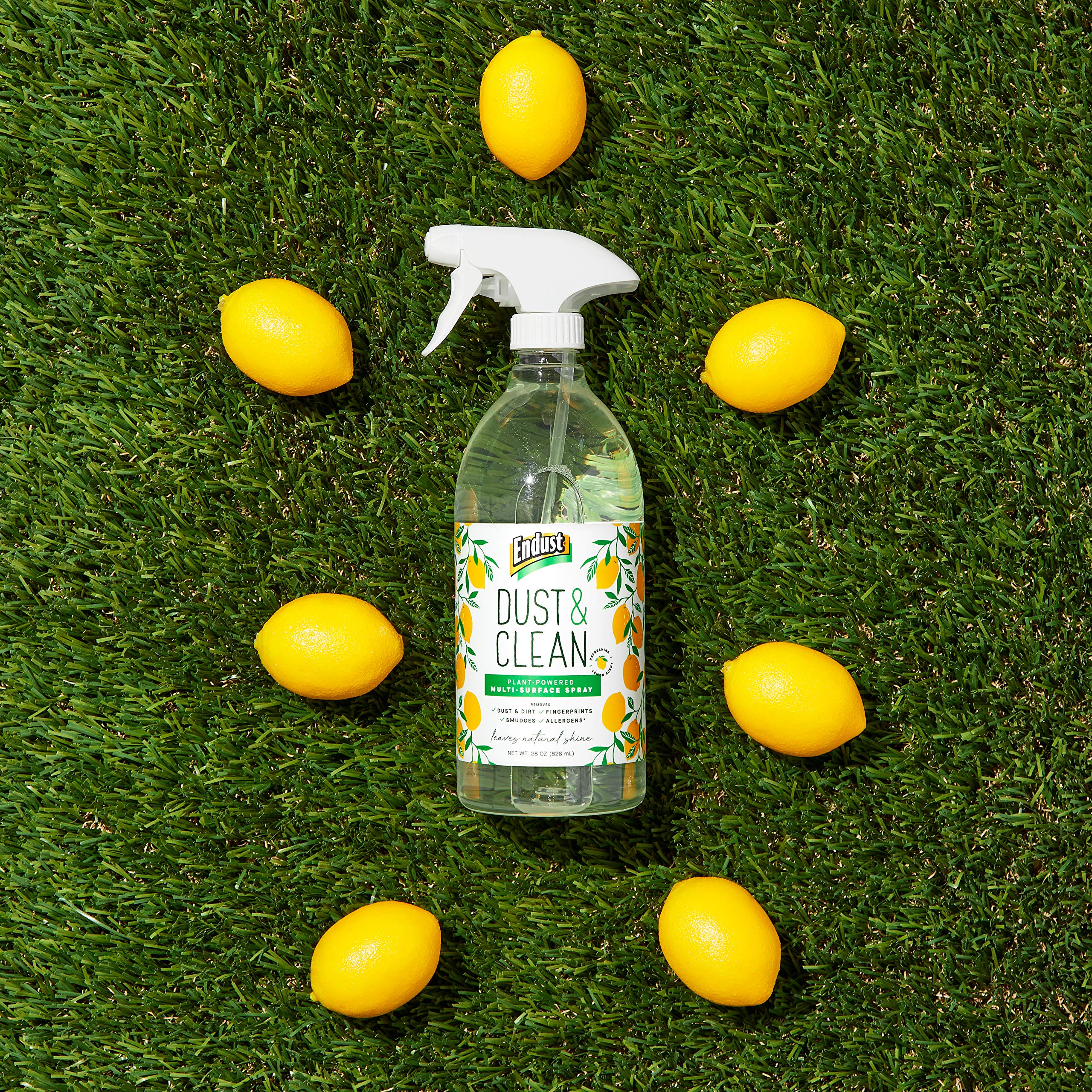 Endust Plant-based Multi-surface Dusting & Cleaning Spray, 24 Fl Oz (Pack of 2)