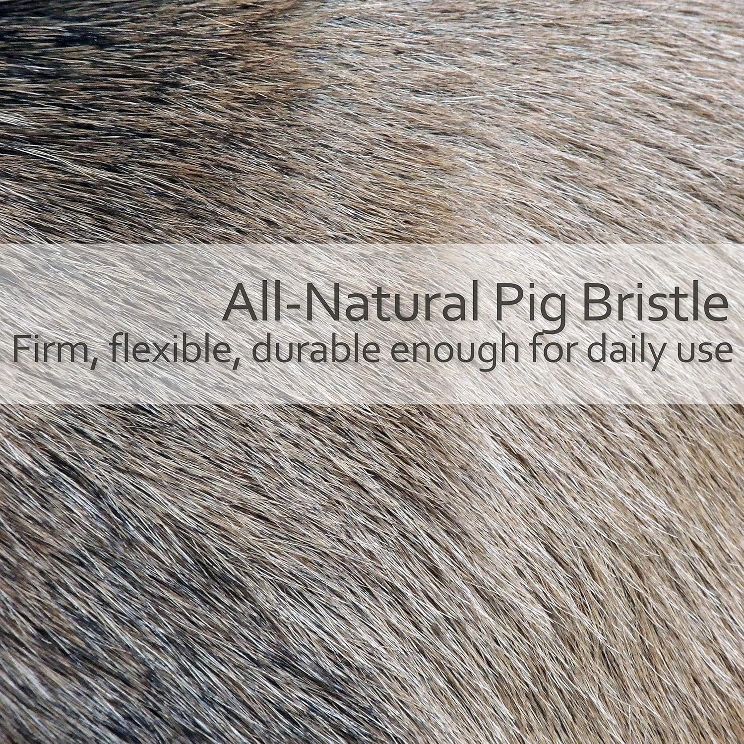 Redecker Natural Pig Bristle Nail Brush with Untreated Beechwood Handle, 3-3/4-Inches : Beauty