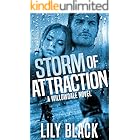 Storm of Attraction (The Willowdale Series Book 1)
