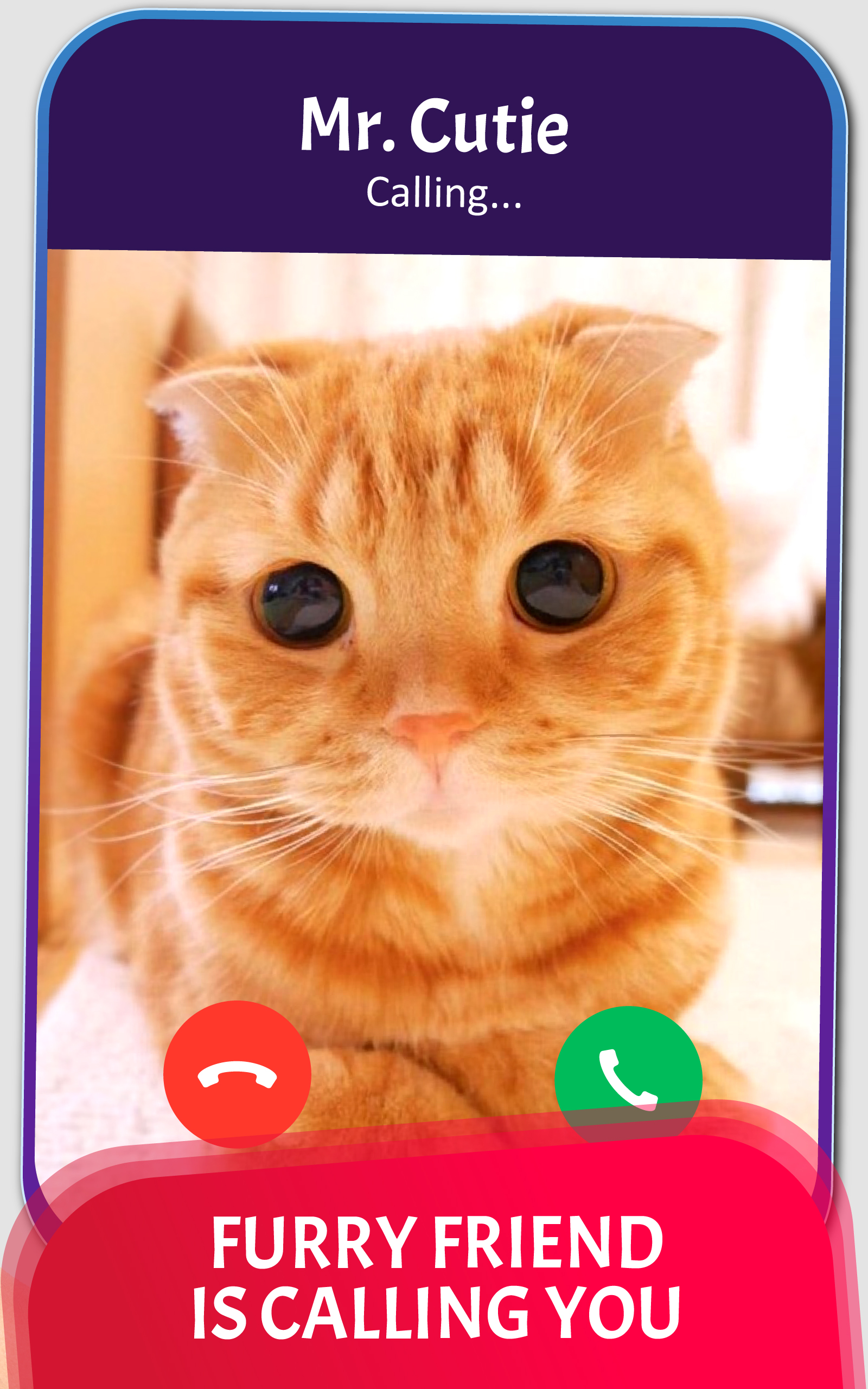Cat's Video Calls and Chat Pricepulse