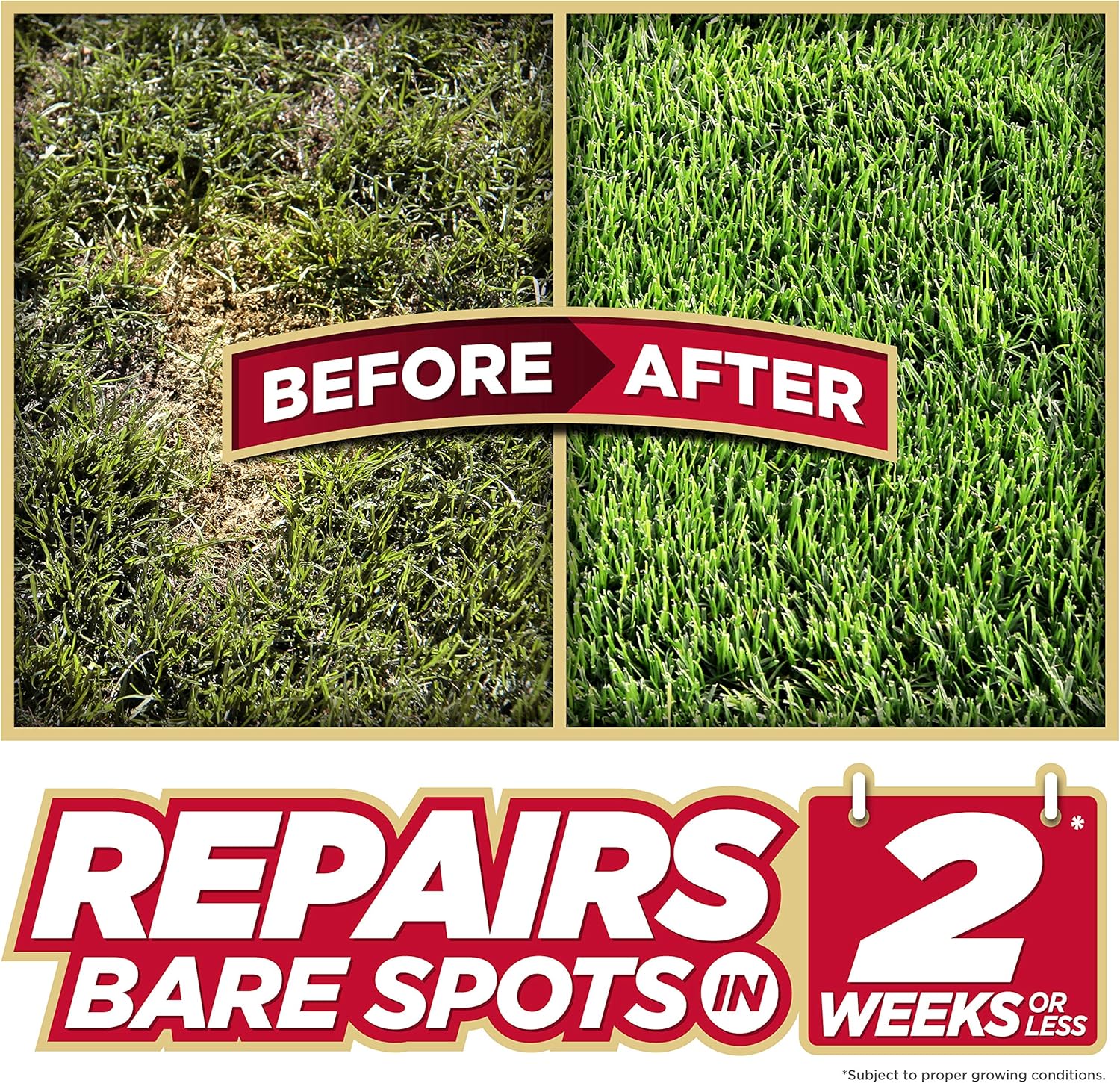 Pennington 100086822 One Step Complete Grass Seed For Sun & Shade Areas, 8.3 Pounds : Grass Plants : Garden & Outdoor