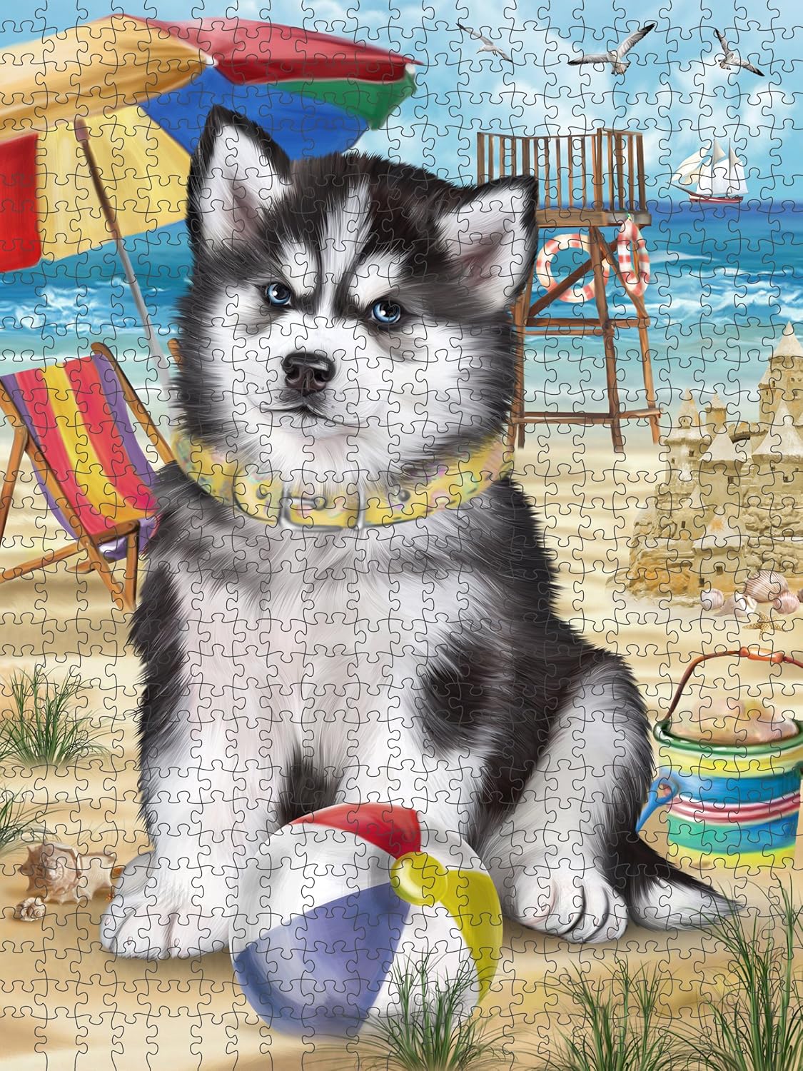 husky dog shop near me