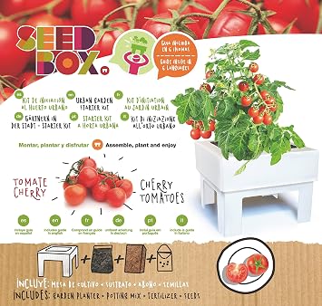 SeedBox SBCUTC - Huerto Urbano de Tomates Cherry: Amazon.es: Jardín