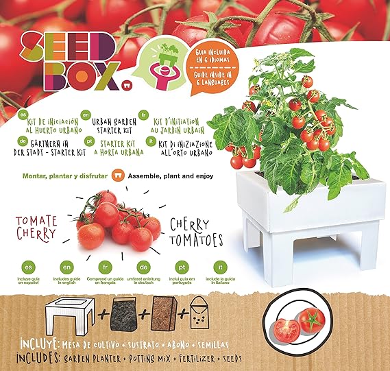 SeedBox SBCUTC - Huerto Urbano de Tomates Cherry: Amazon.es: Jardín