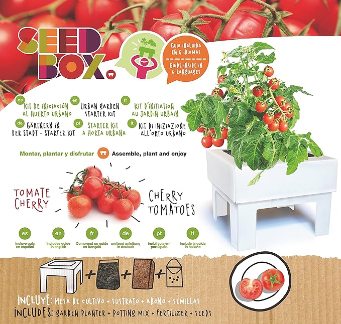 SeedBox SBCUTC - Huerto Urbano de Tomates Cherry: Amazon.es: Jardín