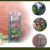 DIVCHI 4 Tier Greenhouse Durable Steel Frame Clear PVC Cover Indoor Outdoor view 4