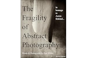 The Fragility of Abstract Photography (in homage to Aaron Siskind) 2nd Edition: Updated 2nd edition