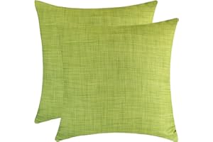 The White Petals Light Green Throw Pillow Cover - (16x16 inch) | Decorative, Washable Cushion Covers for Couch, Sofa, Bedroom, Living Room - Pack of 2