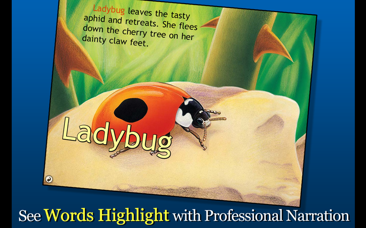 Ladybug at Orchard Avenue - Smithsonian’s Backyard - Thumbnail 3
