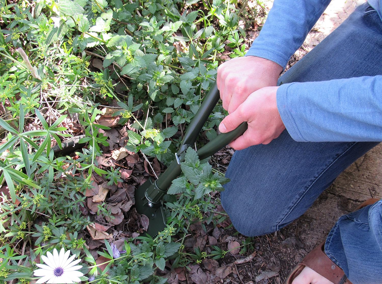 TABOR TOOLS J35A Folding Shovel, Small 18 Inch Survival Spade for Camping, Gardening, SUV Emergencies. Entrenching Trowel Tool with Steel Rugged Edge Blade. Includes Carrying Pouch with Loop. : Garden & Outdoor