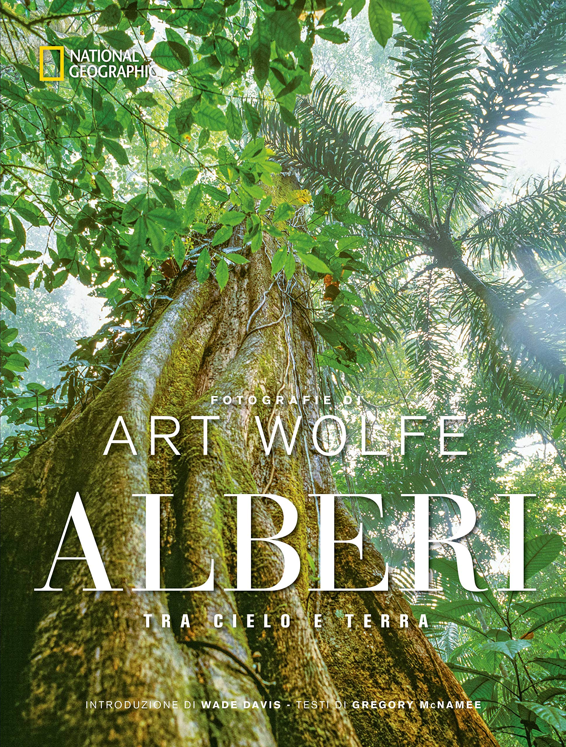 Alberi Tra Cielo E Terra Amazon De Mcnamee Gregory Wolfe Art Borin A Fremdsprachige Bucher amazon de