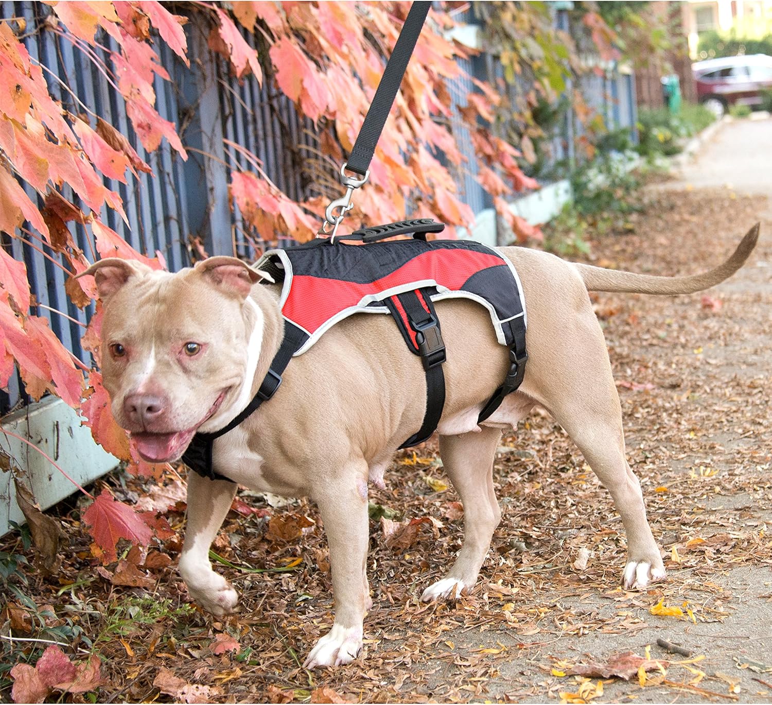 3 peaks fleece lined padded harness