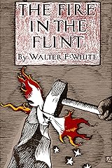 Search of the promise land by walter johnson essay 04 picture