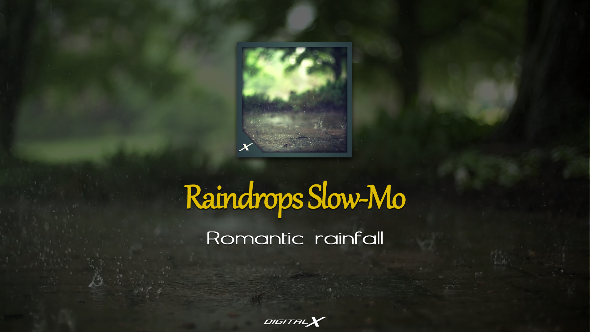 Raindrops Slow-Mo - Romantic Rainfall