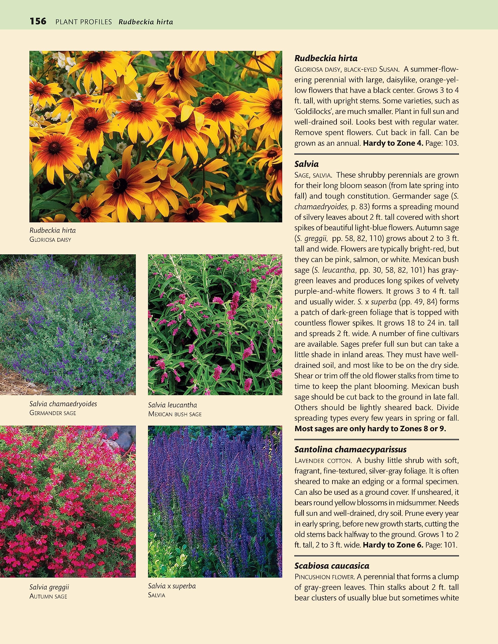 California Home Landscaping, Fourth Edition: 48 Landscape Designs 200+ Plants & Flowers Best Suited to the Region (Creative Homeowner) Over 400 Photos, Native Plant Profiles, and Outdoor DIY Projects