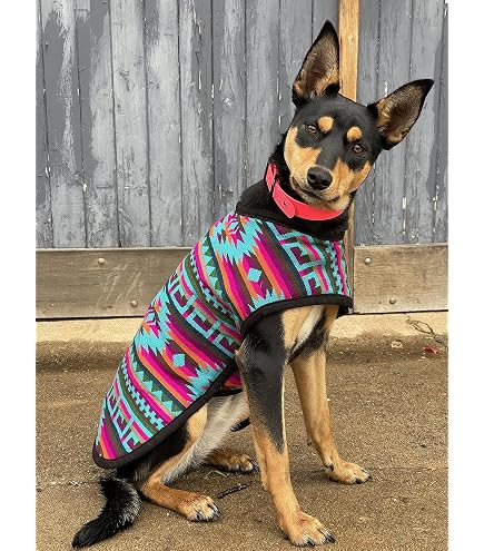 Chilly Dog 100% Wool Dog Sweater - Hand Knit Large Size For Medium Dogs
