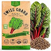 Organo Republic Swiss Chard Ruby Red Seeds Pack 3.75G - Over 200 Non-GMO Heirloom Swiss Chard Seeds for Planting Greens in Individual Seed Packet, Greens Seed for Planting Home Garden Indoor &amp; Outdoor