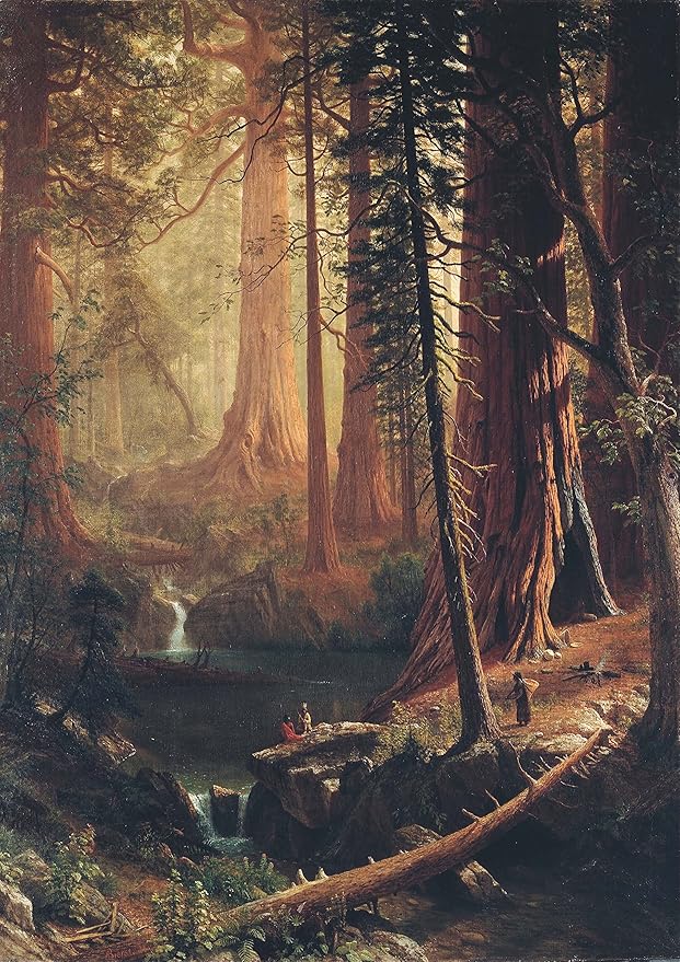 Albert Bierstadt Giant Redwood Trees of
