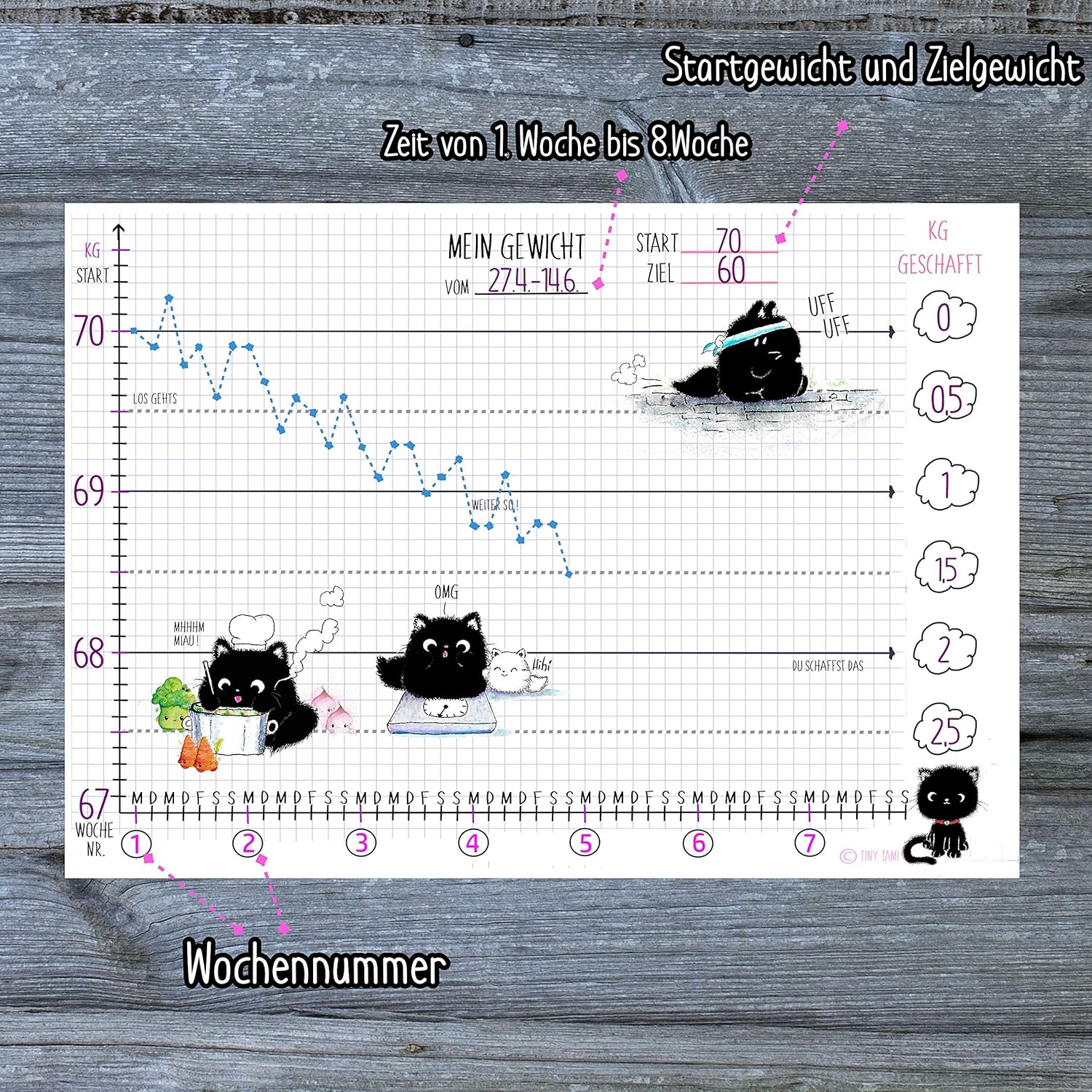Abnehmplan Katzen Gewichtsplaner Block Dina 4 Fitnessplan Abnehmen Mit Kater Moo Diatplaner Gewichtsticker Schreibwaren Partybedarf Handmade Produkte Suenaacampo Com