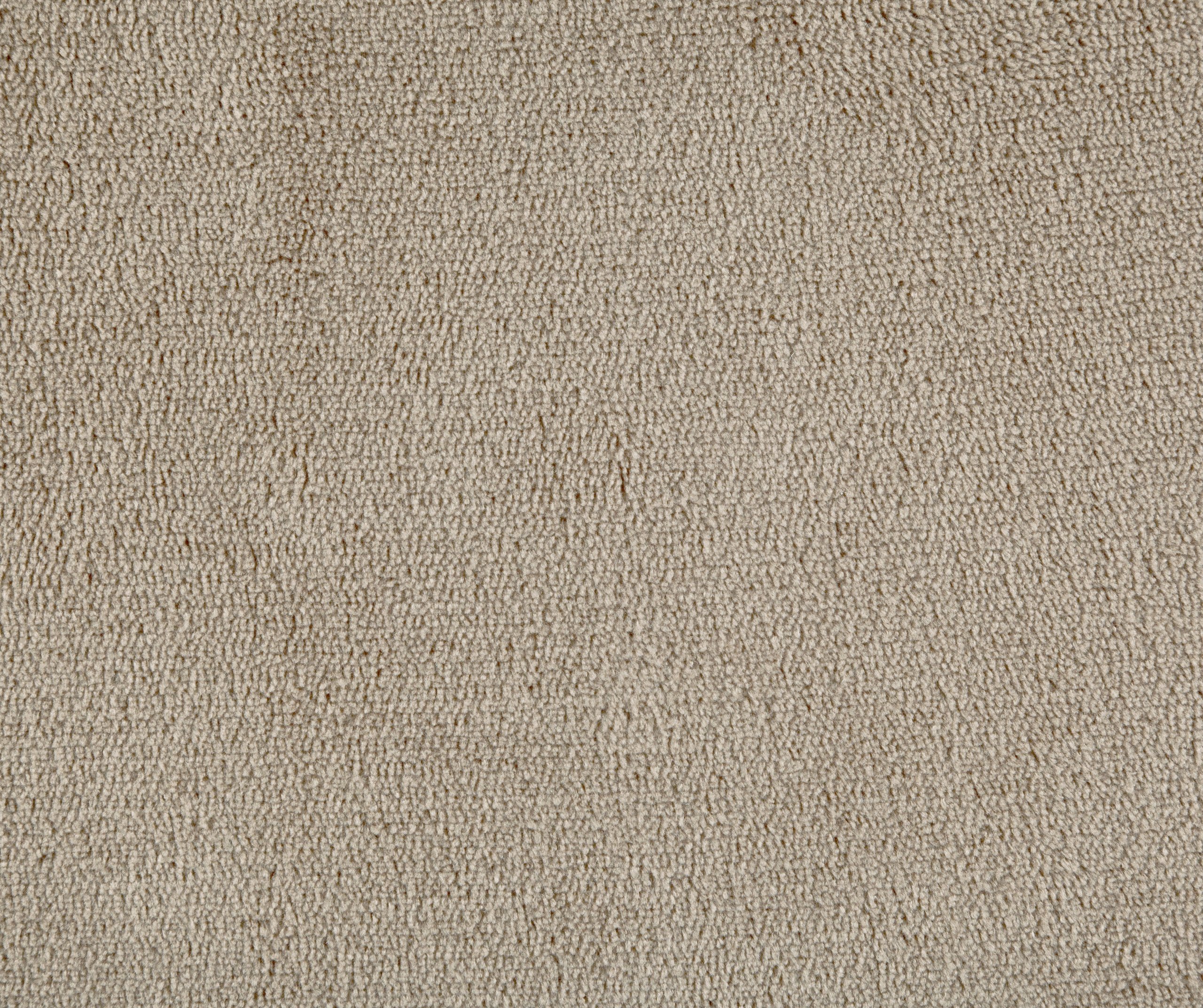 Sunbeam Heated Blanket Microplush, 10 Heat Settings, Mushroom, King