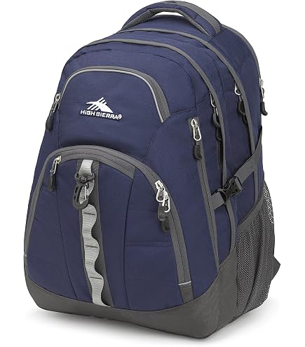 High Sierra Swerve Laptop Backpack, True Navy, One Size : Electronics