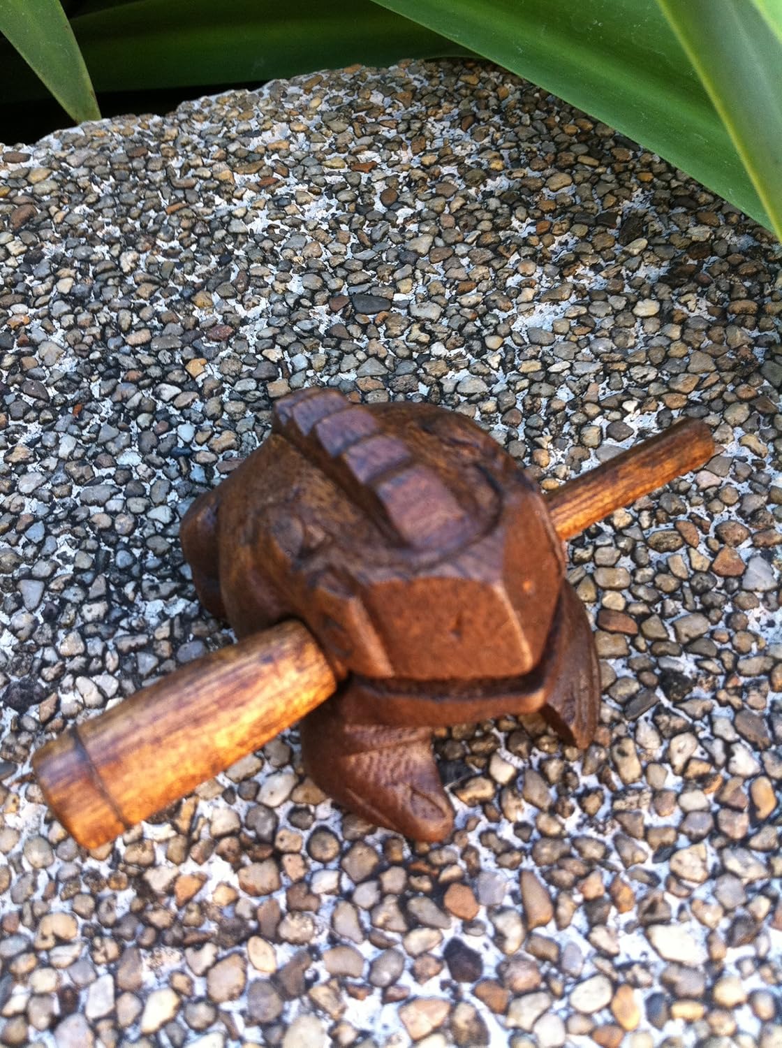 Small Frog Guiro Croaking Frog Instrument hours of fun. Amazon.co