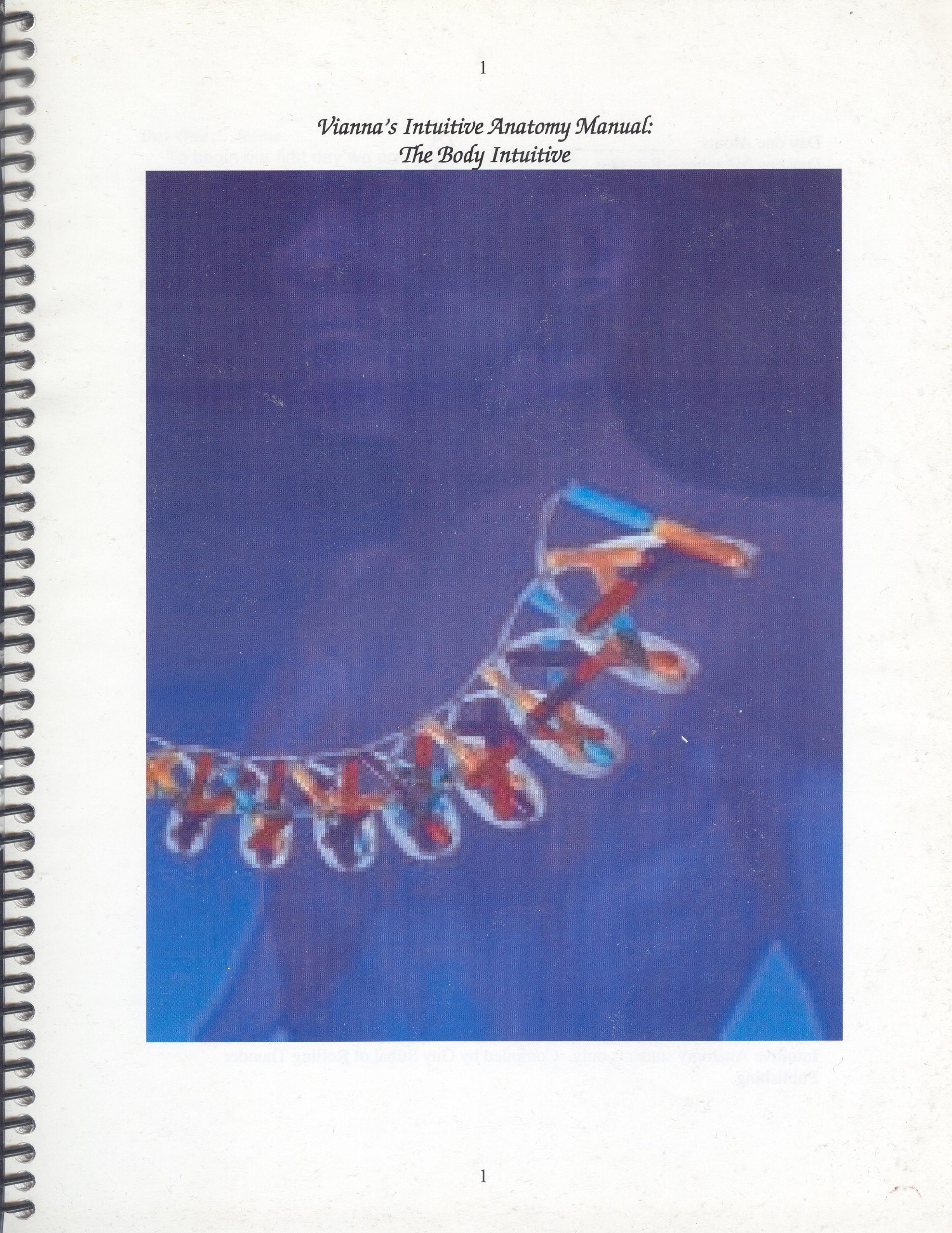 Vianna S Intuitive Anatomy Manual The Body Intuitive Vianna Stibal Amazon Com Books
